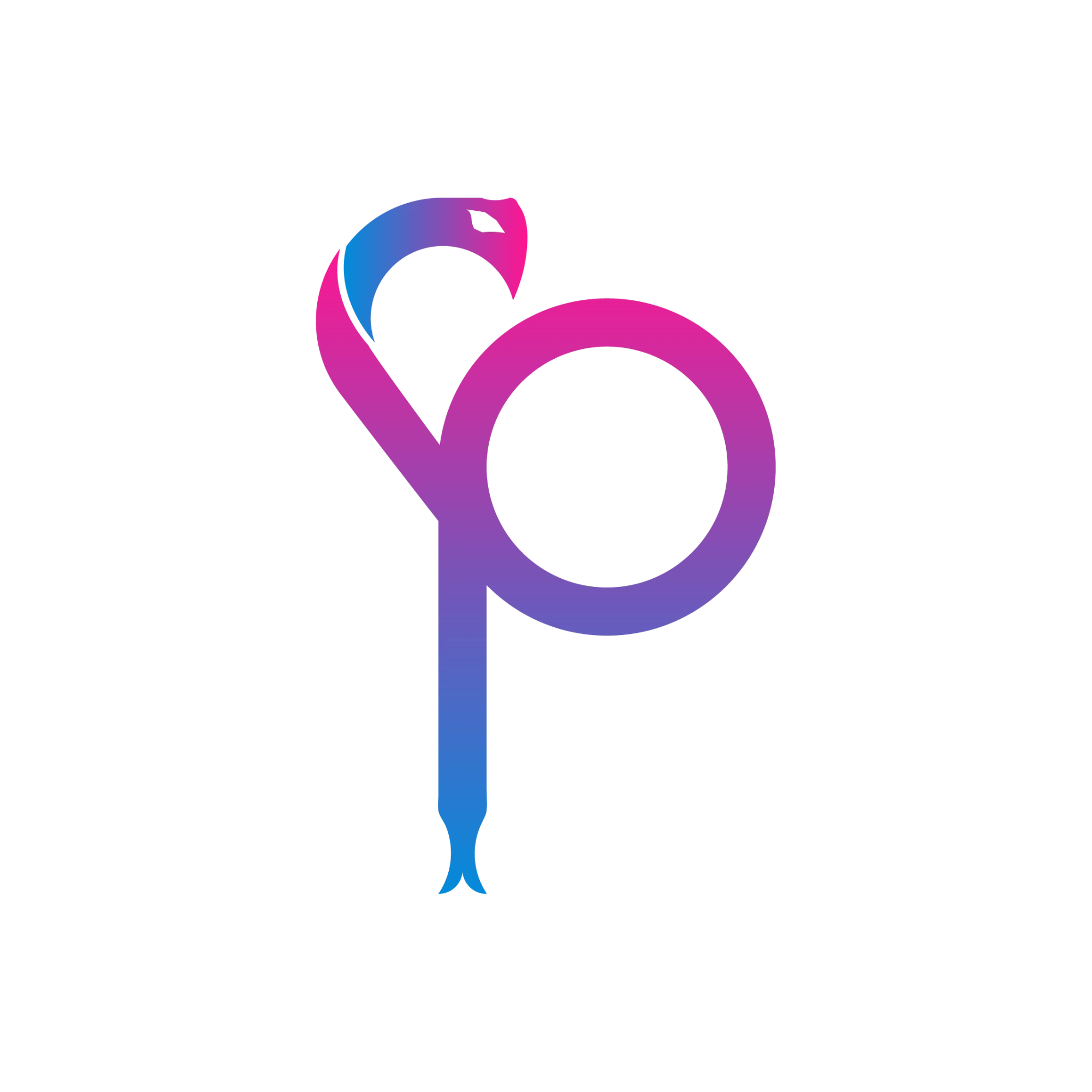 Logo Escadron PYTHON